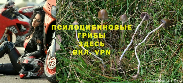 mdpv Ладушкин