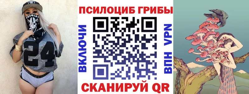 Псилоцибиновые грибы Psilocybe Няндома